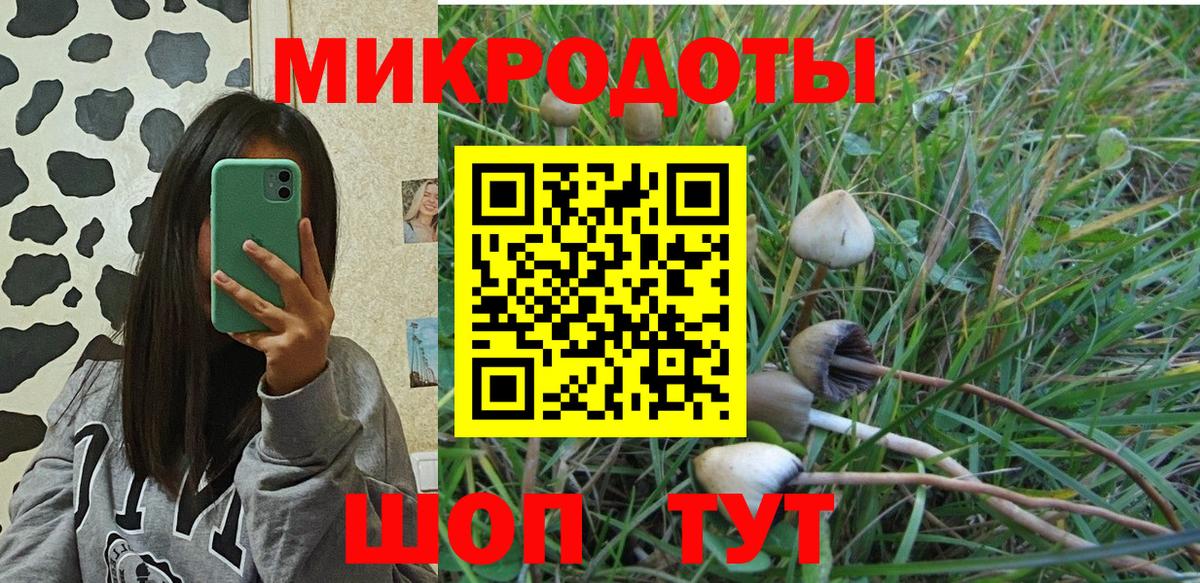 Галлюциногенные грибы прущие грибы Отрадный