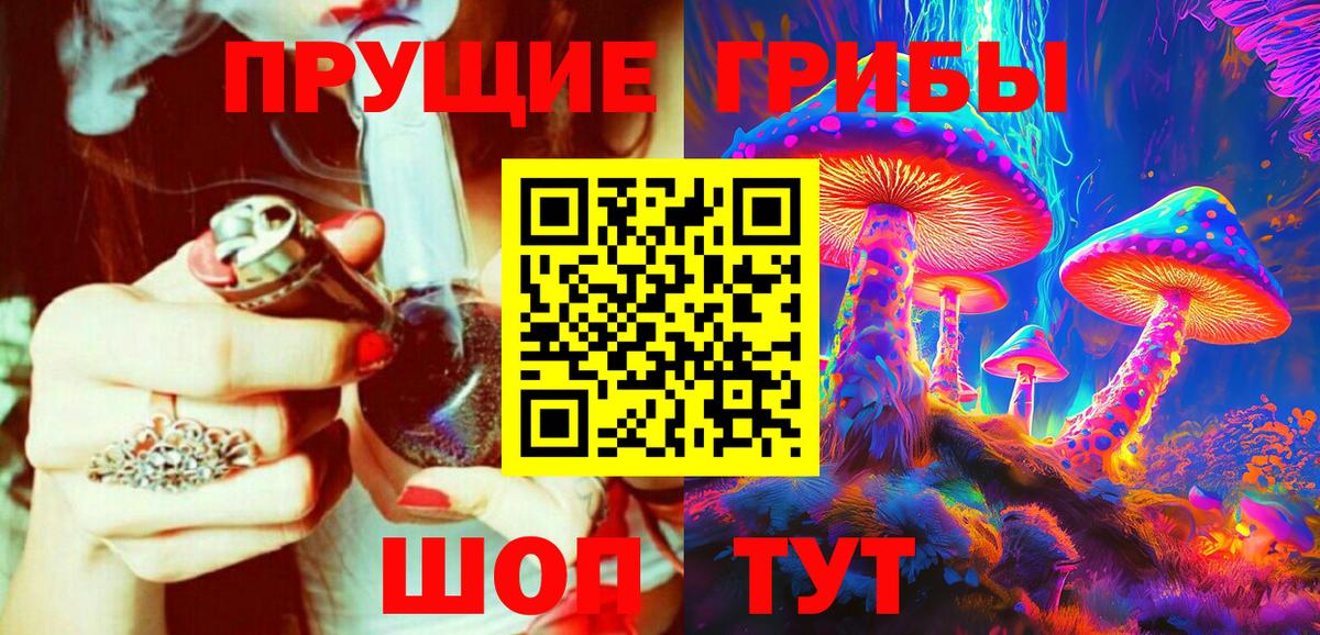 Псилоцибиновые грибы прущие грибы  Псилоцибиновые грибы GOLDEN TEACHER  Отрадный  Вход с VPN 