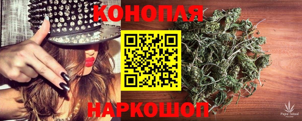МАРИХУАНА план  Канабис гибрид  Отрадный  Марихуана ГИДРОПОН  МАРИХУАНА Ganja  Вход с VPN 